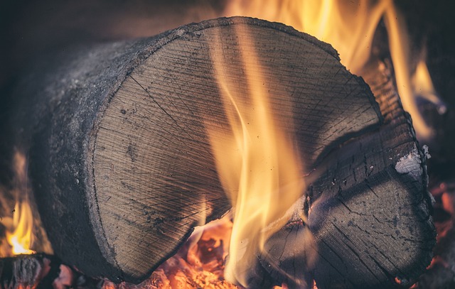 journal, bois, feu